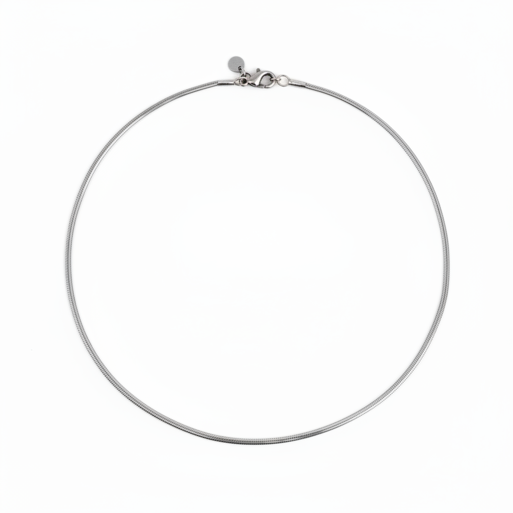 Flat Snake Chain Necklace
